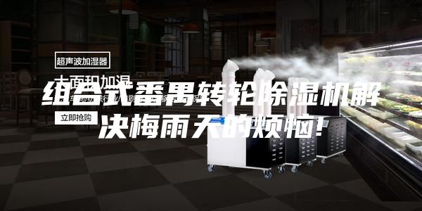 組合式番禺轉輪除濕機解決梅雨天的煩惱!