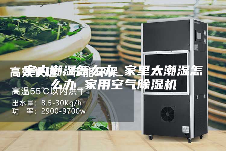 室內潮濕怎么辦_家里太潮濕怎么辦_家用空氣除濕機
