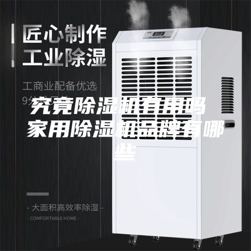 究竟除濕機有用嗎 家用除濕機品牌有哪些