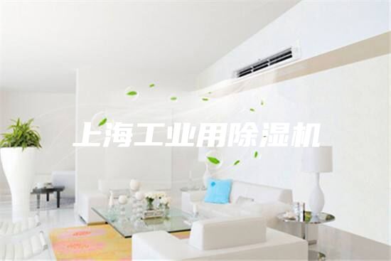 上海工業(yè)用除濕機