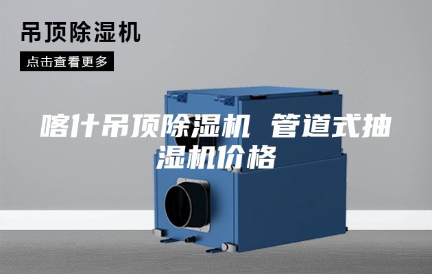 喀什吊頂除濕機(jī) 管道式抽濕機(jī)價(jià)格