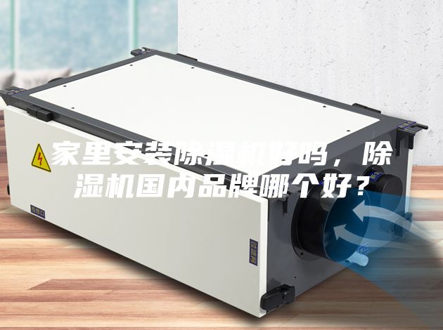 家里安裝除濕機好嗎，除濕機國內品牌哪個好？