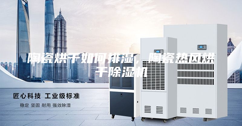 陶瓷烘干如何排濕，陶瓷熱風(fēng)烘干除濕機(jī)