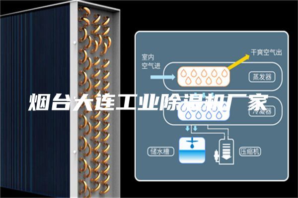 煙臺大連工業除濕機廠家
