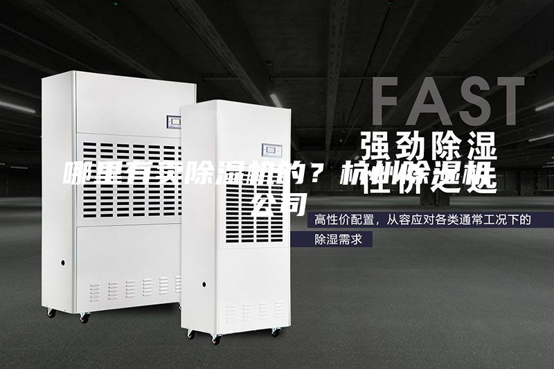哪里有賣除濕機(jī)的？杭州除濕機(jī)公司