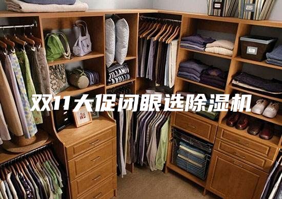 雙11大促閉眼選除濕機