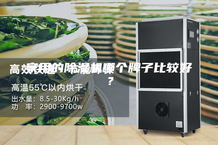 家用的除濕機(jī)哪個(gè)牌子比較好？