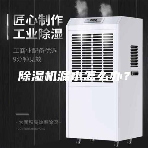 除濕機漏水怎么辦?
