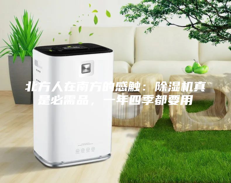 北方人在南方的感觸：除濕機真是必需品，一年四季都要用
