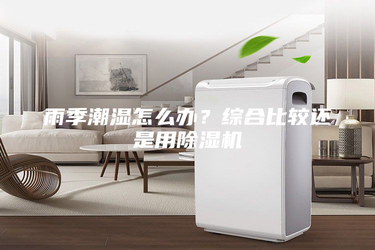 雨季潮濕怎么辦？綜合比較還是用除濕機(jī)