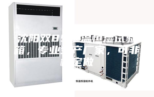 沈陽(yáng)雙85恒溫恒濕試驗(yàn)箱，專業(yè)生產(chǎn)廠家，可非標(biāo)定做