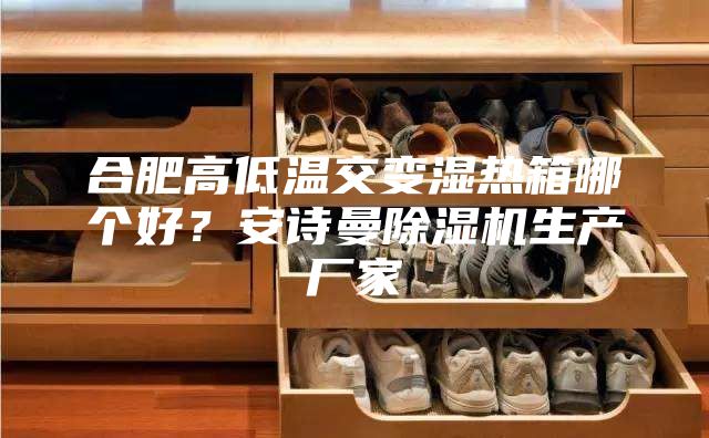 合肥高低溫交變濕熱箱哪個(gè)好？安詩曼除濕機(jī)生產(chǎn)廠家