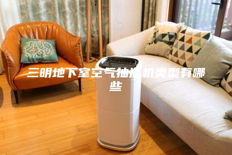 三明地下室空氣抽濕機(jī)類型有哪些
