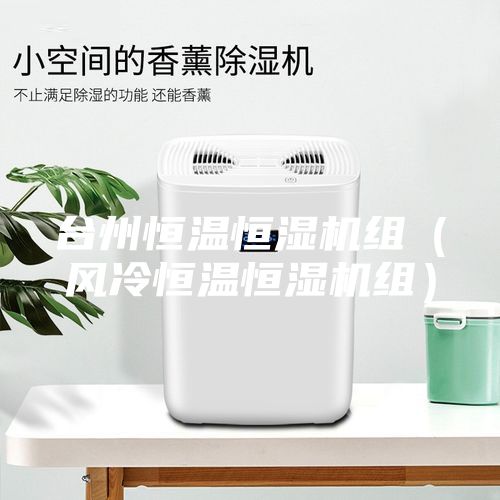 臺(tái)州恒溫恒濕機(jī)組（風(fēng)冷恒溫恒濕機(jī)組）