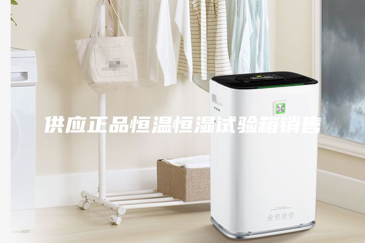 供應(yīng)正品恒溫恒濕試驗(yàn)箱銷售