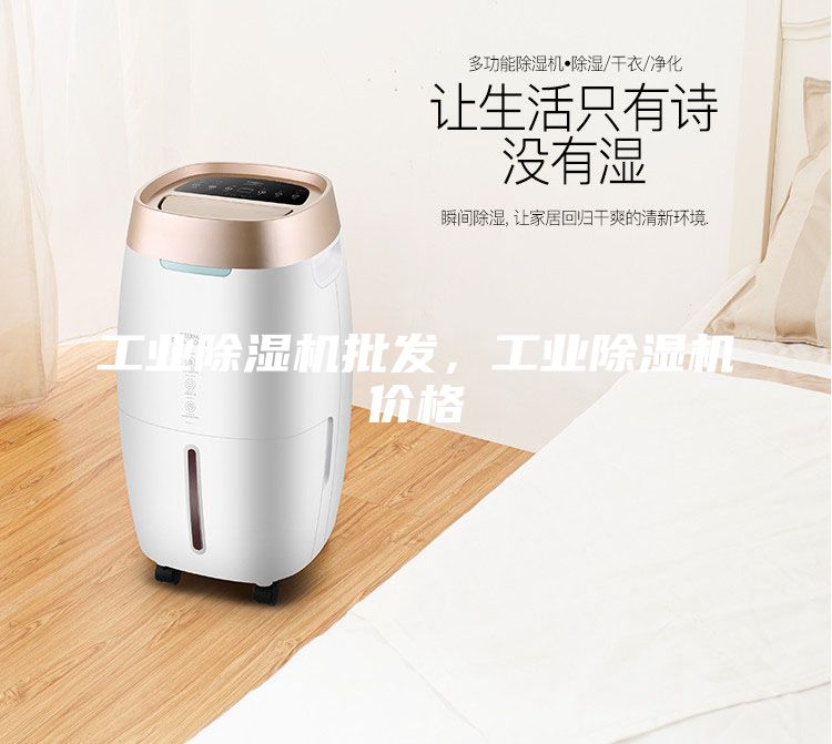 工業(yè)除濕機批發(fā),工業(yè)除濕機價格