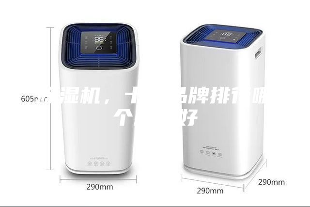 除濕機，十大品牌排行哪個牌子好