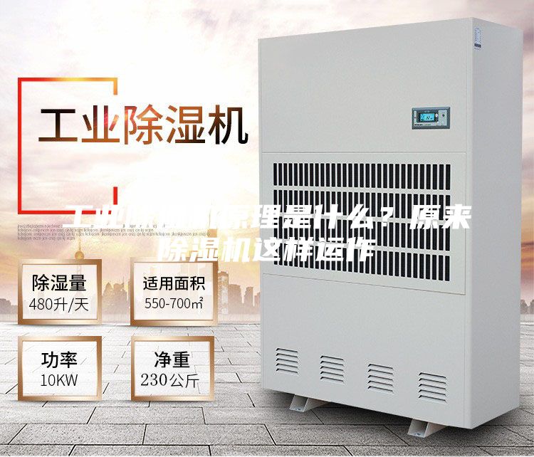 工業(yè)除濕機(jī)原理是什么？原來除濕機(jī)這樣運(yùn)作