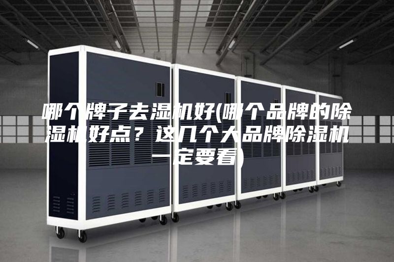 哪個牌子去濕機好(哪個品牌的除濕機好點？這幾個大品牌除濕機一定要看)