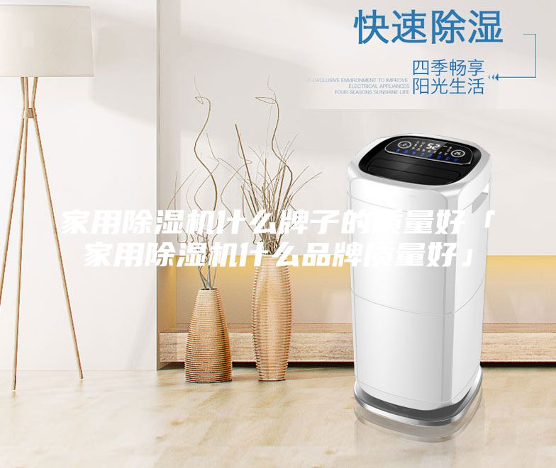 家用除濕機(jī)什么牌子的質(zhì)量好「家用除濕機(jī)什么品牌質(zhì)量好」
