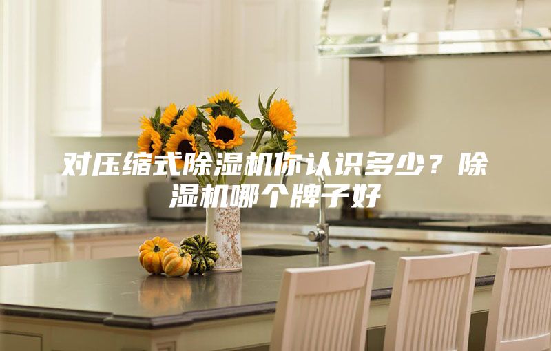 對壓縮式除濕機(jī)你認(rèn)識多少？除濕機(jī)哪個牌子好