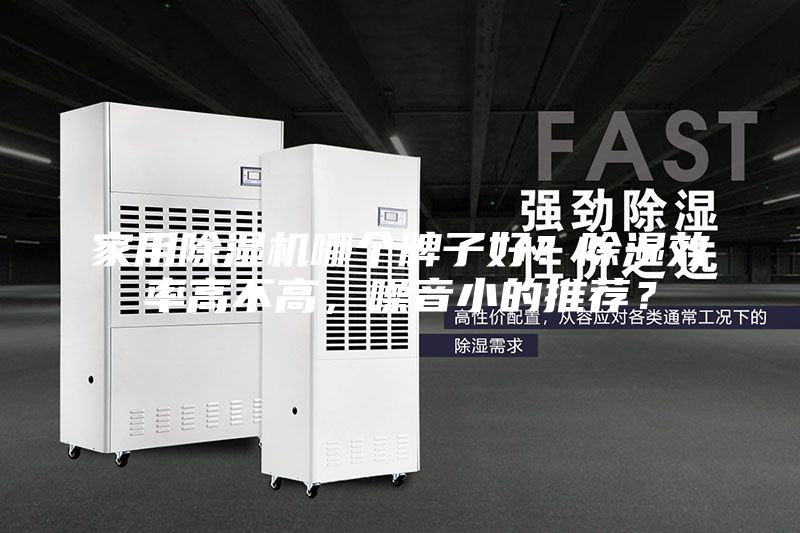 家用除濕機(jī)哪個牌子好？除濕效率高不高，噪音小的推薦？