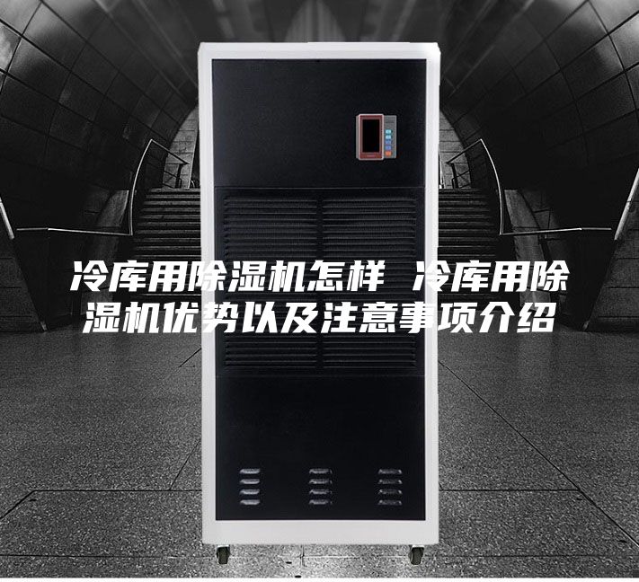 冷庫(kù)用除濕機(jī)怎樣 冷庫(kù)用除濕機(jī)優(yōu)勢(shì)以及注意事項(xiàng)介紹