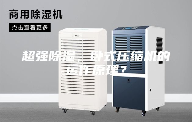 超強(qiáng)除濕，臥式壓縮機(jī)的運(yùn)作原理？