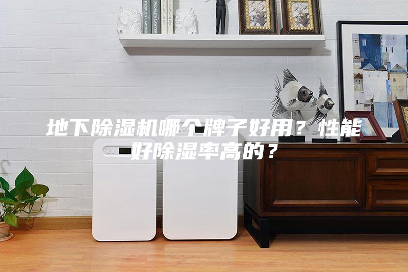 地下除濕機哪個牌子好用？性能好除濕率高的？