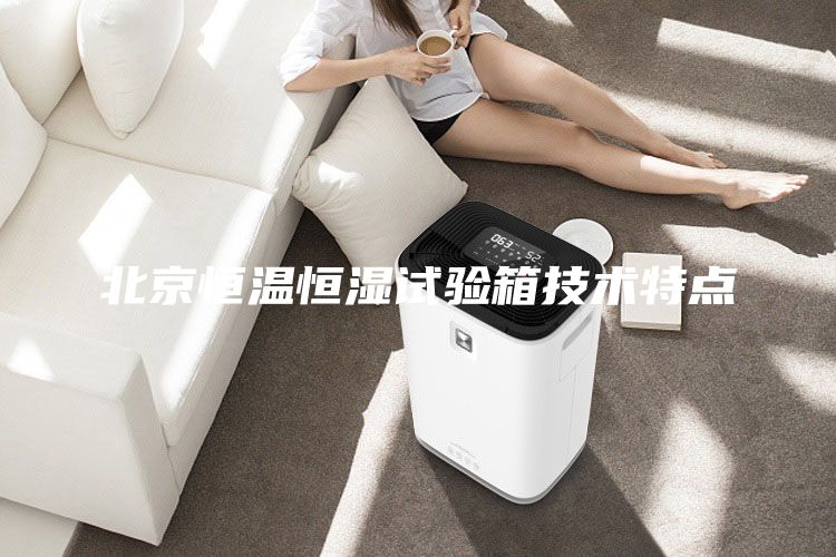 北京恒溫恒濕試驗箱技術(shù)特點