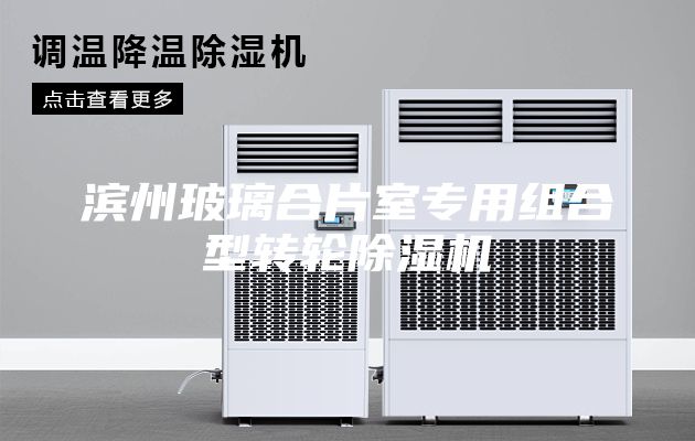 濱州玻璃合片室專用組合型轉輪除濕機