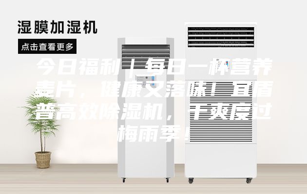 今日福利｜每日一杯營養(yǎng)麥片，健康又落味！宜盾普高效除濕機，干爽度過梅雨季！
