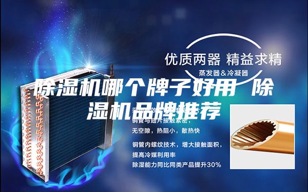 除濕機(jī)哪個牌子好用 除濕機(jī)品牌推薦