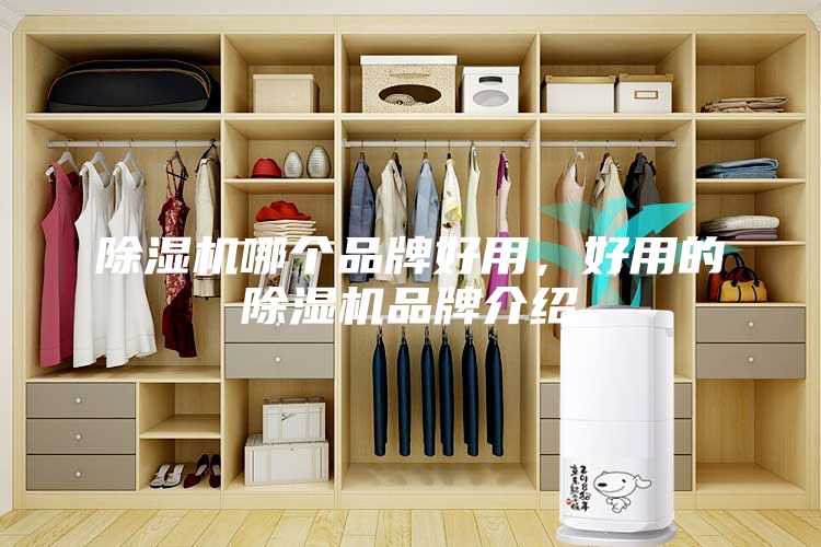 除濕機(jī)哪個(gè)品牌好用，好用的除濕機(jī)品牌介紹