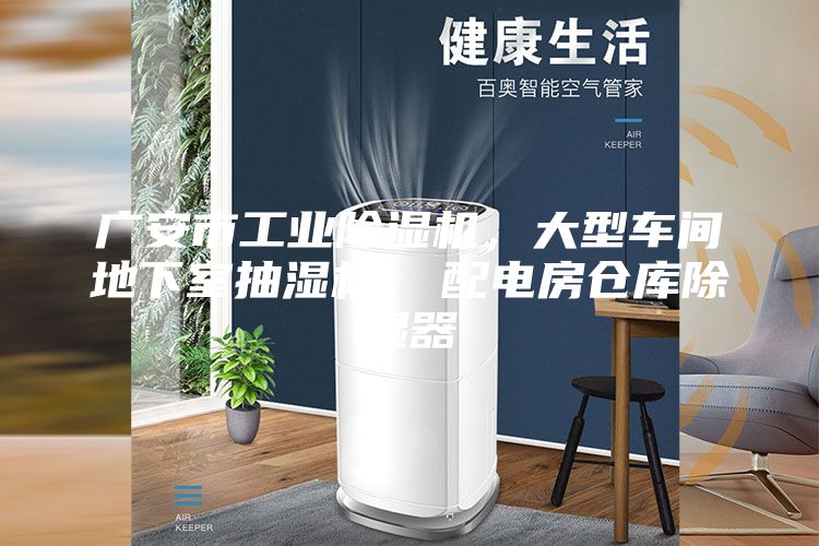廣安市工業(yè)除濕機，大型車間地下室抽濕機  配電房倉庫除濕器