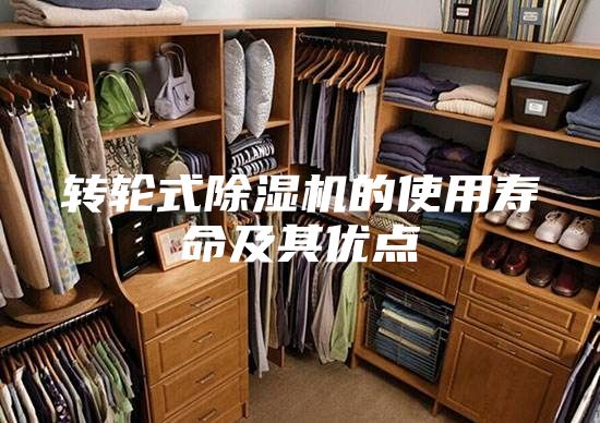 轉(zhuǎn)輪式除濕機的使用壽命及其優(yōu)點