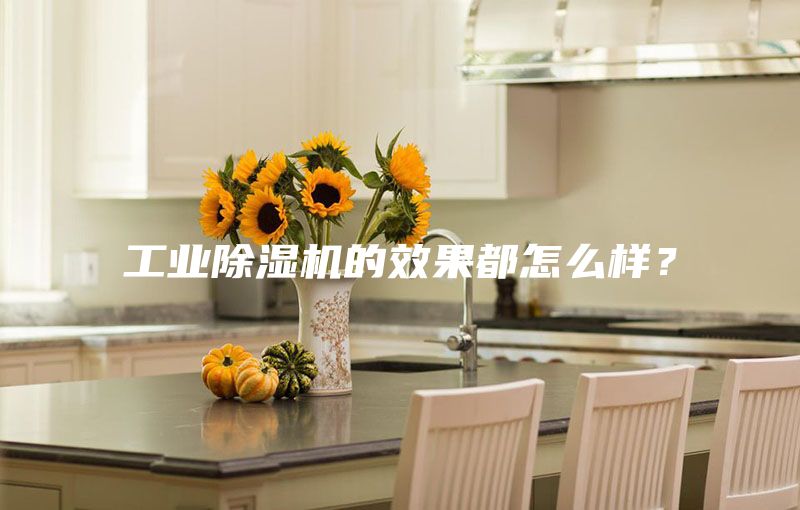 工業(yè)除濕機的效果都怎么樣？