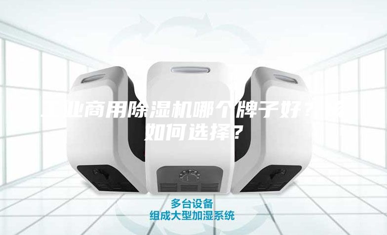 工業(yè)商用除濕機哪個牌子好?該如何選擇?