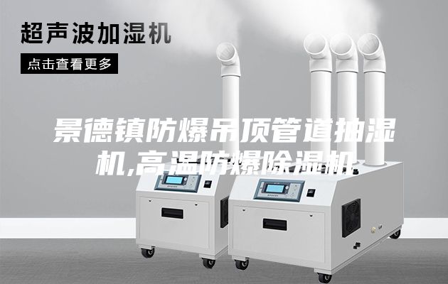 景德鎮(zhèn)防爆吊頂管道抽濕機,高溫防爆除濕機