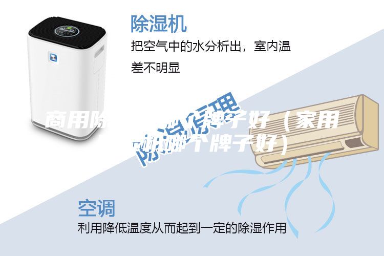 商用除濕機哪個牌子好(家用除濕機哪個牌子好)