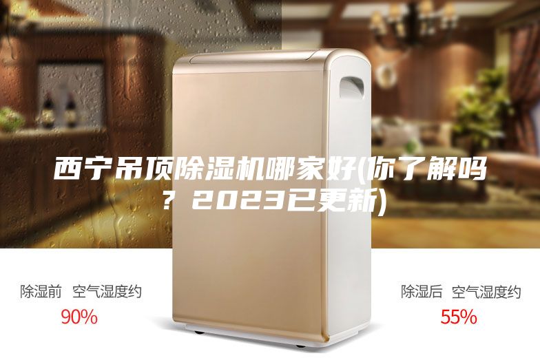 西寧吊頂除濕機哪家好(你了解嗎？2023已更新)