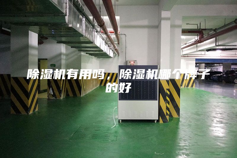 除濕機有用嗎，除濕機哪個牌子的好