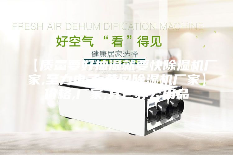 【質量要好抽濕就要快除濕機廠家,至力電子,黃岡除濕機廠家】價格,廠家,其它辦公用品