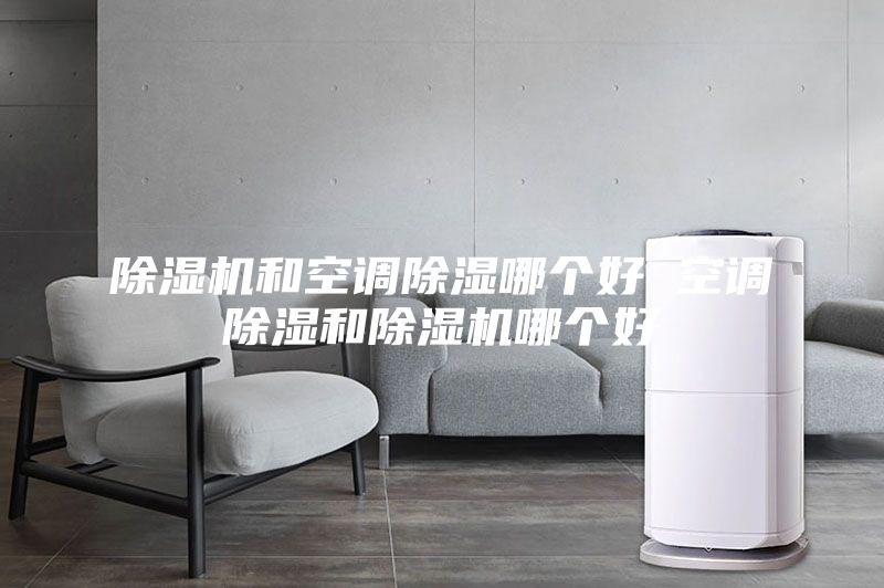 除濕機(jī)和空調(diào)除濕哪個(gè)好 空調(diào)除濕和除濕機(jī)哪個(gè)好
