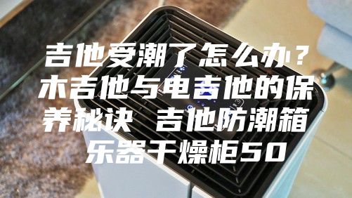 吉他受潮了怎么辦？木吉他與電吉他的保養(yǎng)秘訣 吉他防潮箱 樂器干燥柜50