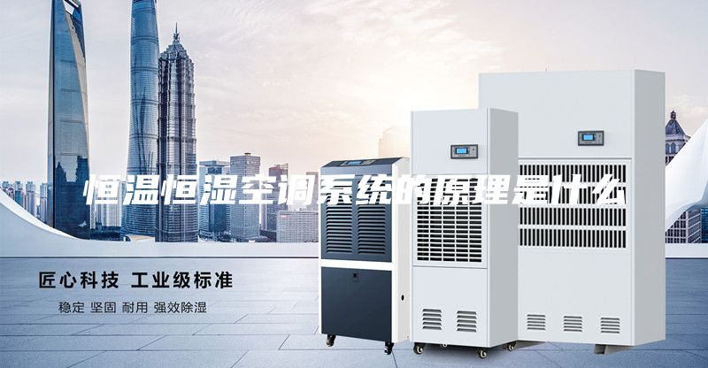 恒溫恒濕空調系統的原理是什么