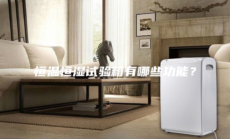 恒溫恒濕試驗箱有哪些功能?