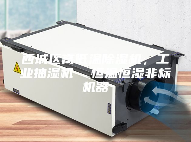 西城區高低溫除濕機,工業抽濕機 恒溫恒濕非標機器