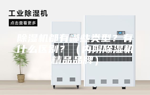 除濕機都有哪些類型？有什么區別？（內附除濕機精品品牌）