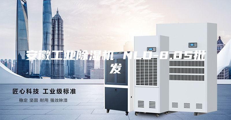 安徽工業(yè)除濕機(jī) NLD-8.8S批發(fā)